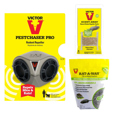 INSECT & PEST CONTROL