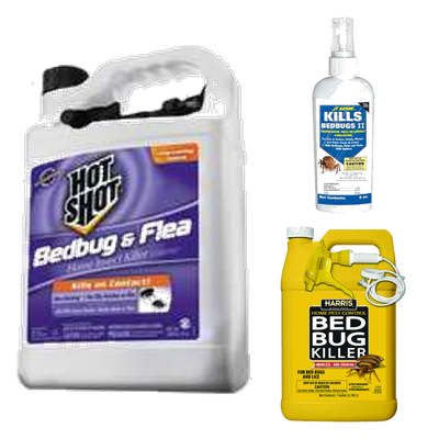 BED BUG CONTROL
