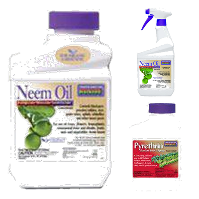 INSECTICIDES