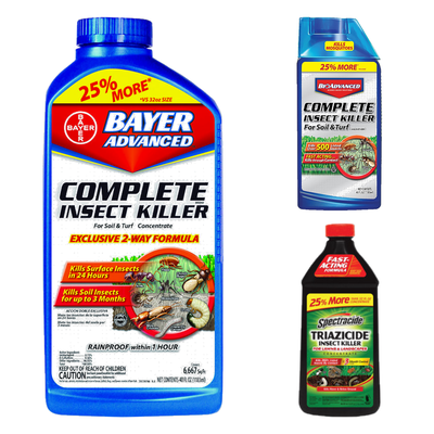 CONCENTRATE LAWN