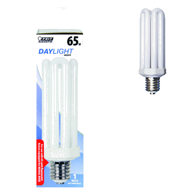 SPECIALTY BULBS