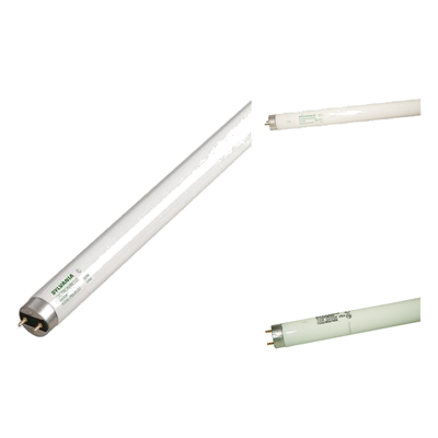 TUBES T8
